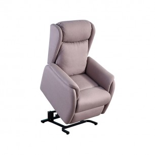 Fauteuil Diane 2 Moteurs