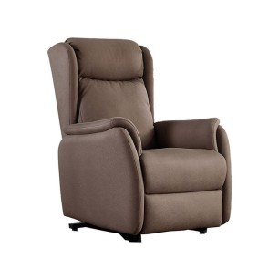 Fauteuil Diane 2 Moteurs