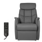 Fauteuil Iris 2 Moteurs